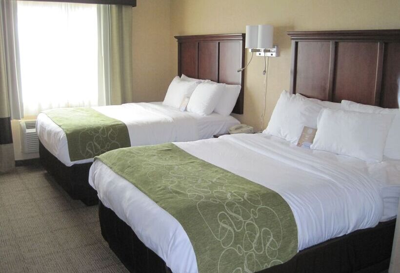 Номер Стандарт, Comfort Suites Columbia University Area