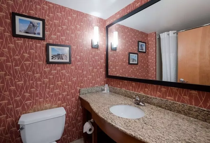 スイート, Comfort Suites Suffolk  Chesapeake