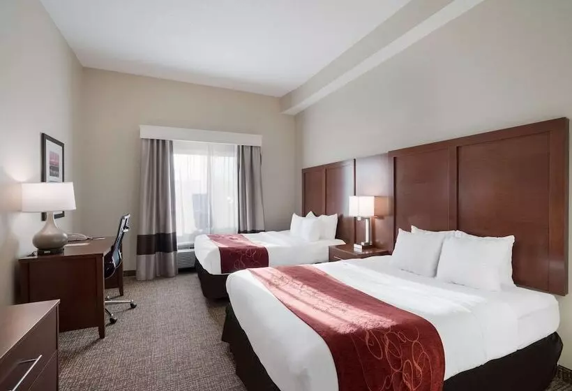 スイート, Comfort Suites Suffolk  Chesapeake