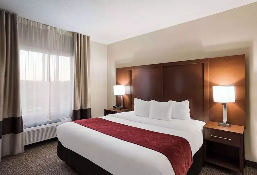 スイート, Comfort Suites Suffolk  Chesapeake
