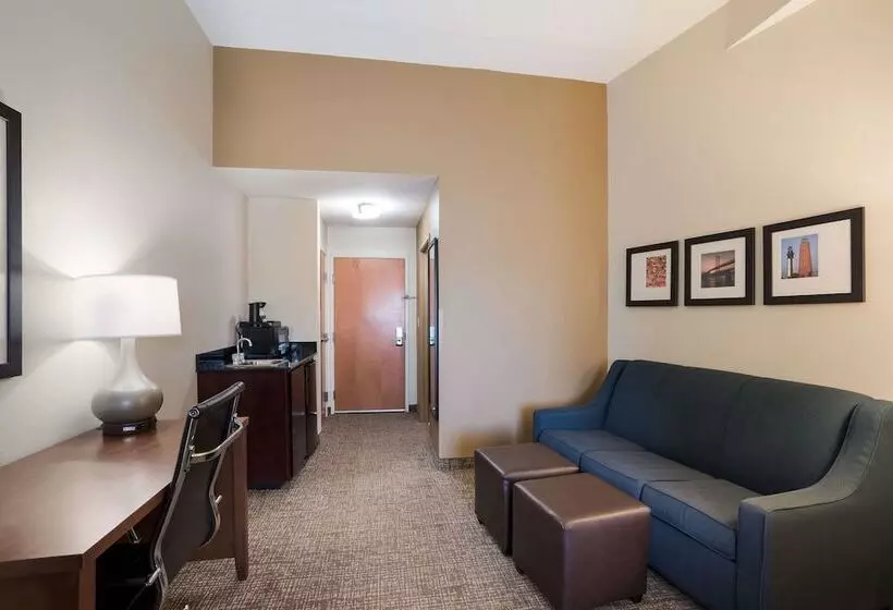 身障者適用スイートルーム, Comfort Suites Suffolk  Chesapeake