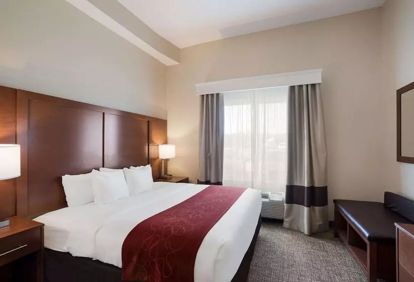 身障者適用スイートルーム, Comfort Suites Suffolk  Chesapeake