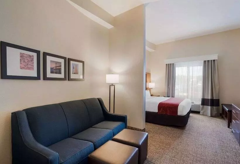 身障者適用スイートルーム, Comfort Suites Suffolk  Chesapeake
