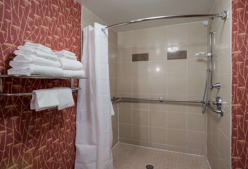 جناح لذوى الاحتياجات الخاصة, Comfort Suites Suffolk  Chesapeake