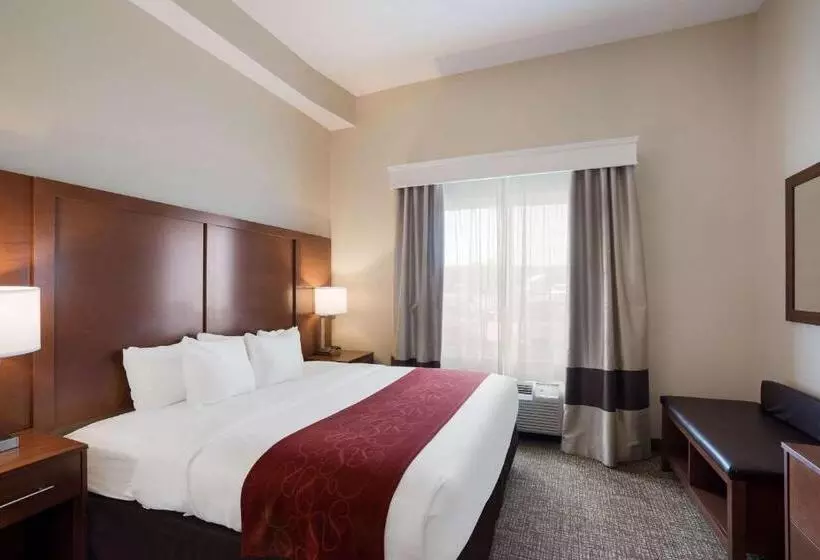 キングサイズベッドのスイートルーム, Comfort Suites Suffolk  Chesapeake