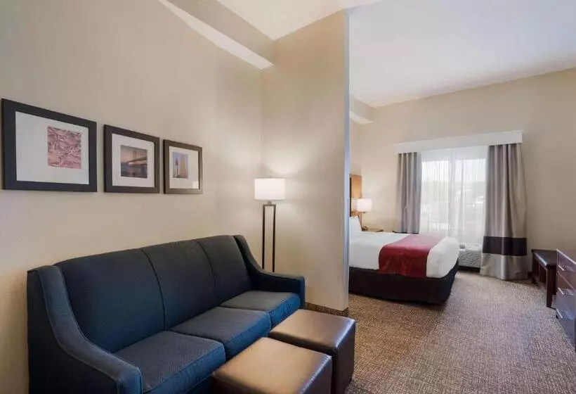 キングサイズベッドのスイートルーム, Comfort Suites Suffolk  Chesapeake