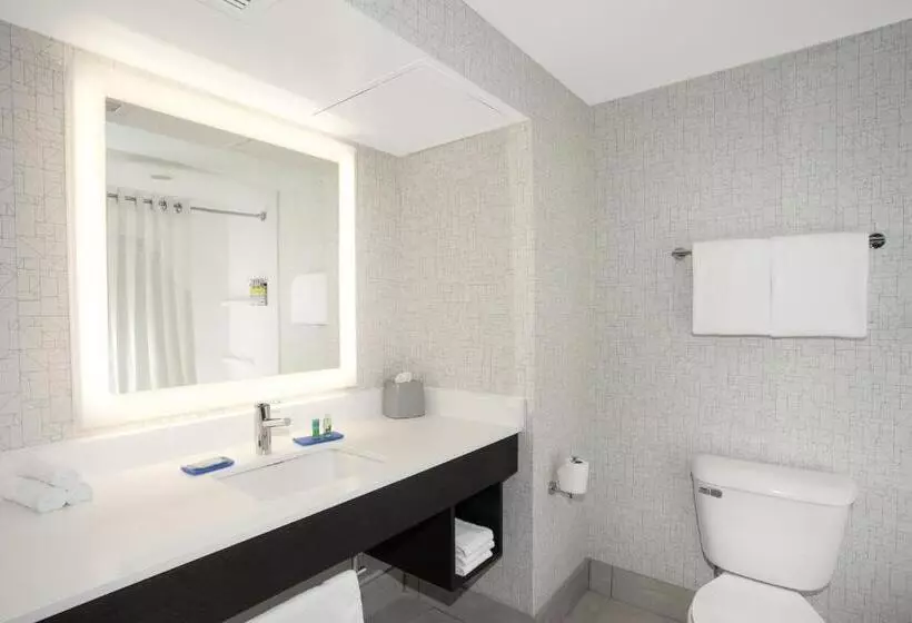 スイート, Holiday Inn Express & Suites Culpeper, An Ihg