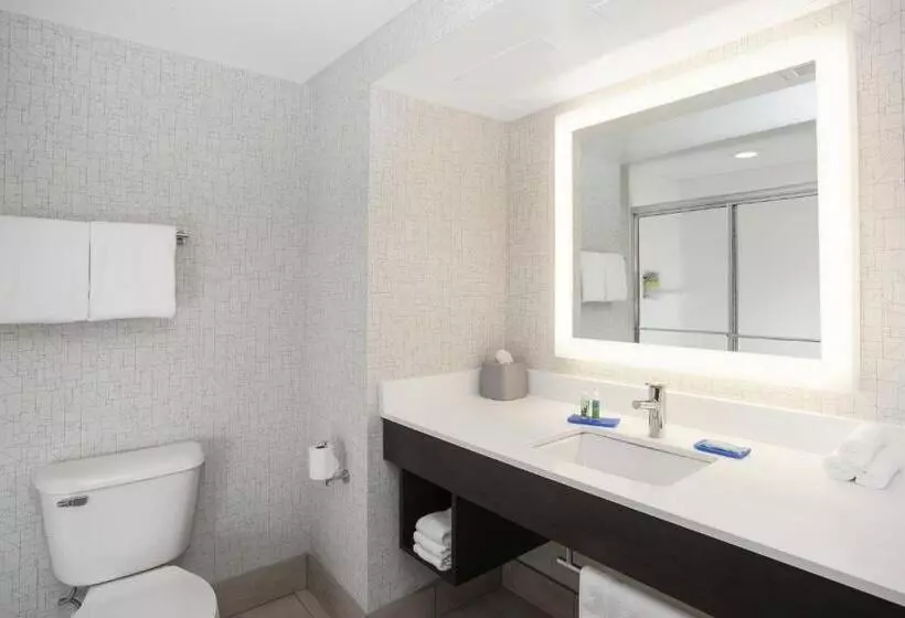 スタンダードルーム, Holiday Inn Express & Suites Culpeper, An Ihg