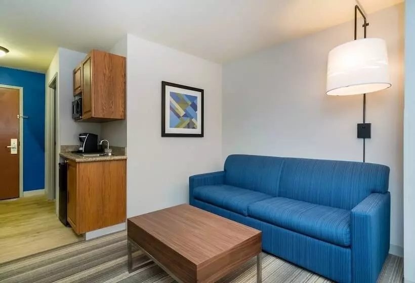 スイート, Holiday Inn Express & Suites Rocky Mount Smith Mountain Lake, An Ihg