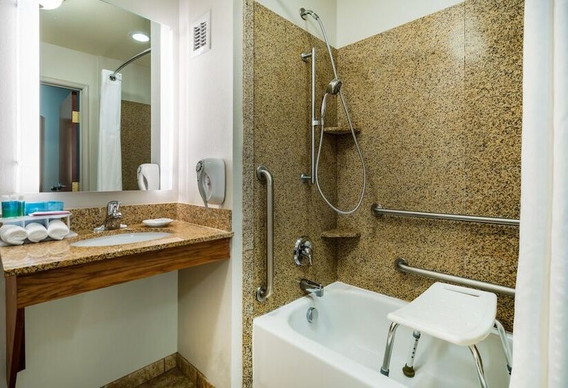 Люкс Адаптированный для Инвалидов, Holiday Inn Express & Suites Rocky Mount Smith Mountain Lake, An Ihg