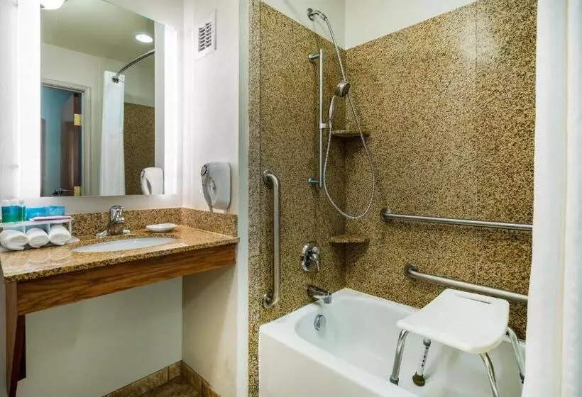 身障者適用スイートルーム, Holiday Inn Express & Suites Rocky Mount Smith Mountain Lake, An Ihg