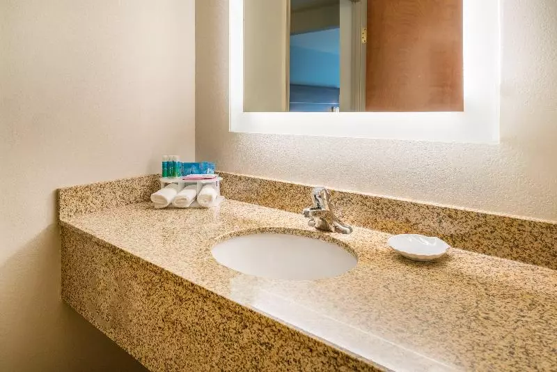 キングサイズベッドのスイートルーム, Holiday Inn Express & Suites Rocky Mount Smith Mountain Lake, An Ihg