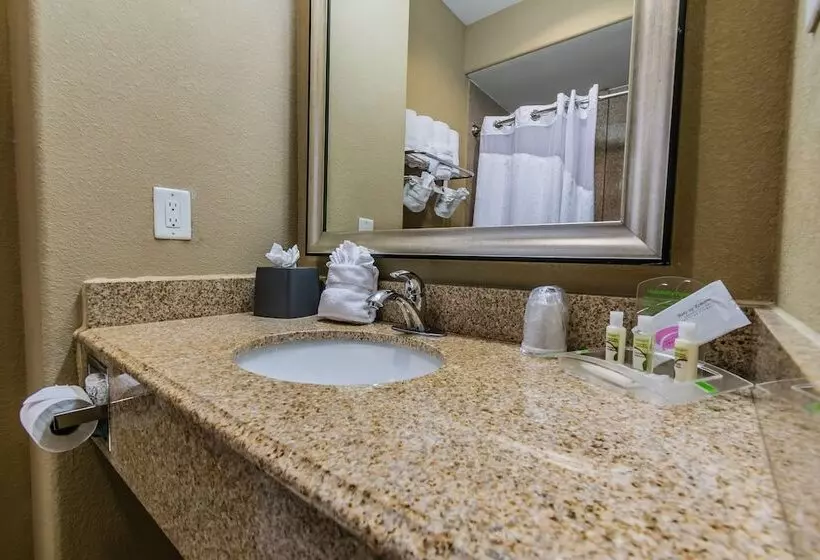 スタンダードルーム, Holiday Inn Houston Webster By Ihg