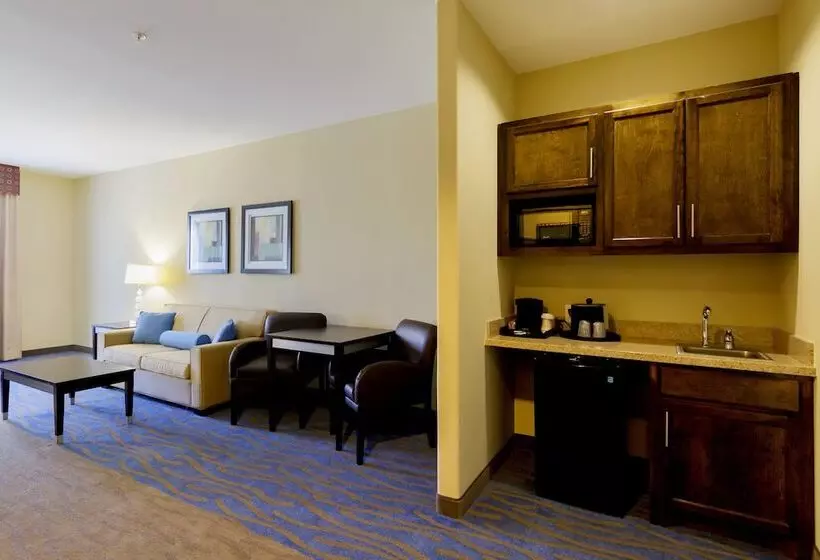 スイート, Holiday Inn Houston Webster By Ihg
