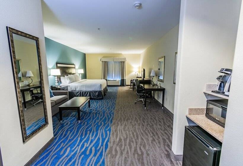 جناح, Holiday Inn Houston Webster By Ihg