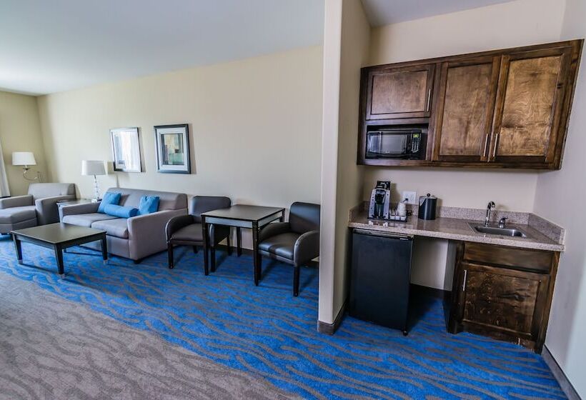 جناح, Holiday Inn Houston Webster By Ihg