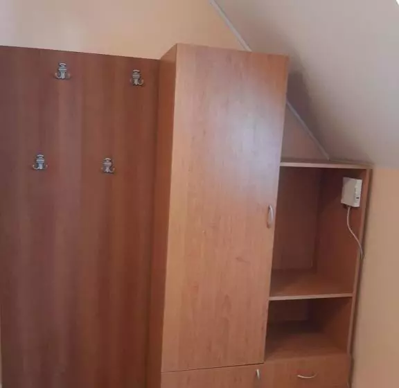 اتاق استاندارد یک تخته با سرویس بهداشتی مشترک, Guest House Diel