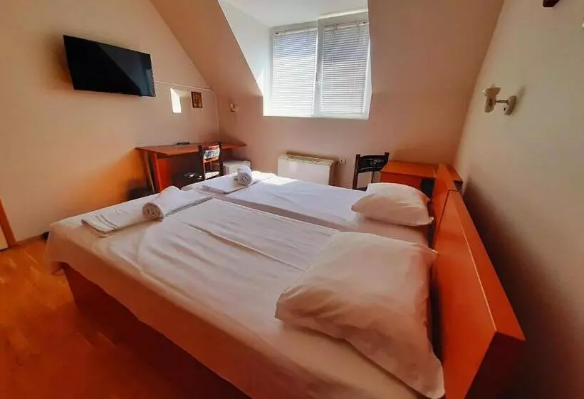 اتاق استاندارد با سرویس بهداشتی مشترک, Guest House Diel