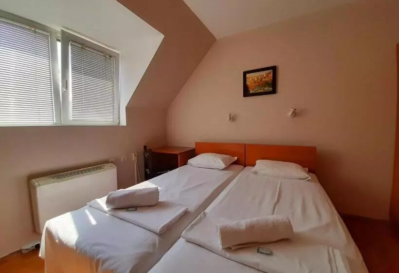 اتاق استاندارد با سرویس بهداشتی مشترک, Guest House Diel