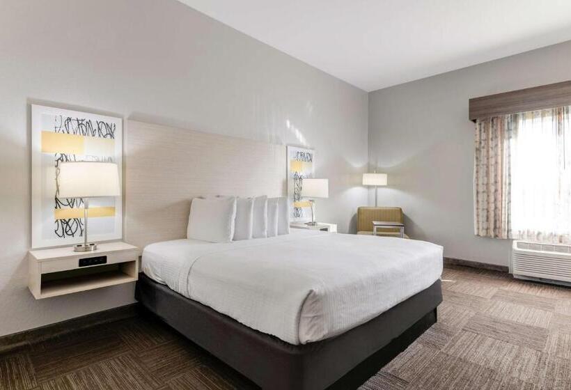 غرفة قياسية سرير كينج لذوى الإحتياجات الخاصة, Best Western Auburndale Inn & Suites