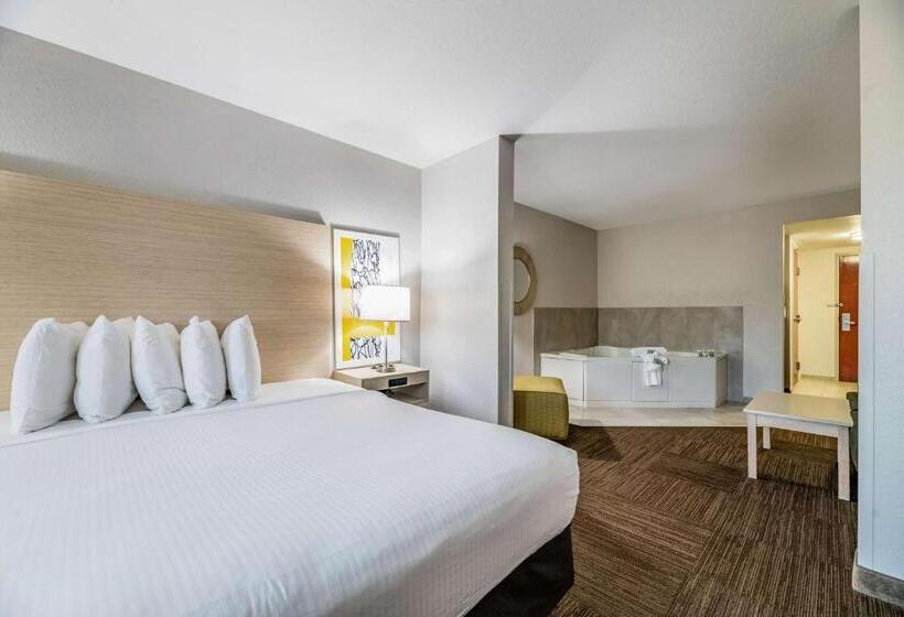 스위트 킹사이즈 침대, Best Western Auburndale Inn & Suites
