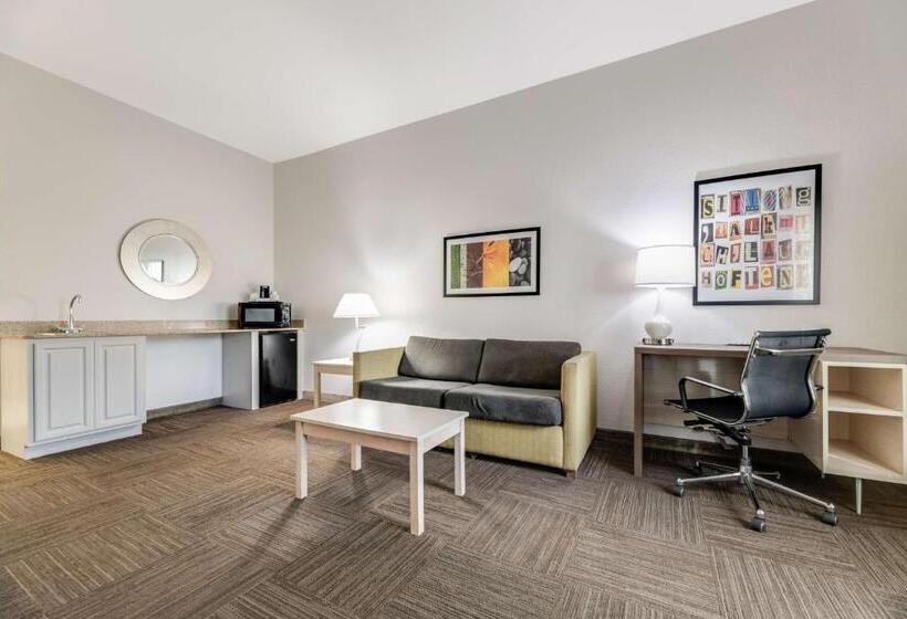 이그제큐티브 스위트 킹침대, Best Western Auburndale Inn & Suites