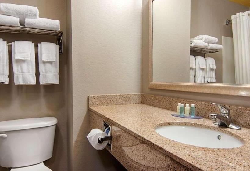 جناح إدارى سرير كينج, Best Western Auburndale Inn & Suites