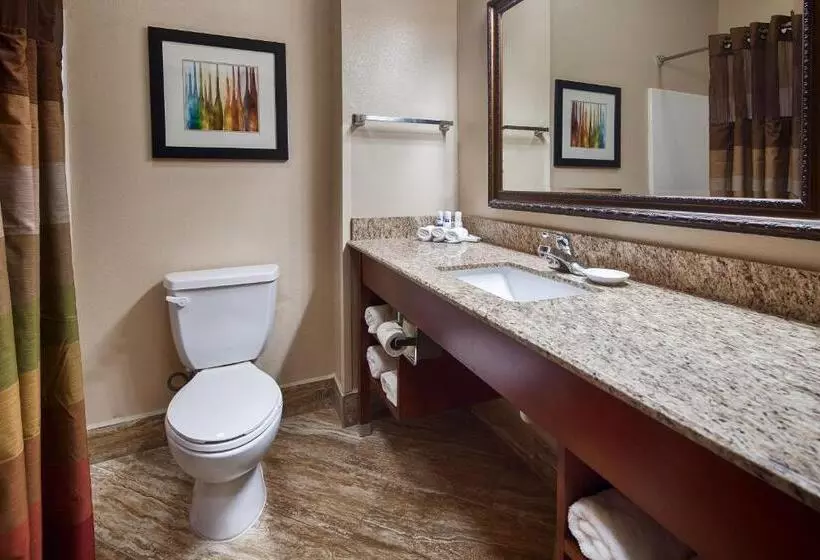 Standard-invahuone King-vuode, Best Western Plus Monahans Inn And Suites