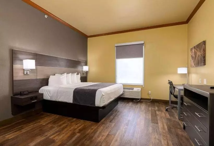 Standard-huone King-vuode, Best Western Plus Portland