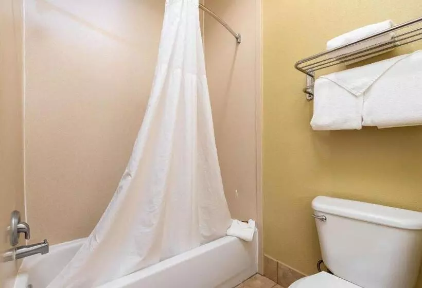 Deluxe-huone King-vuode, Best Western Plus Portland