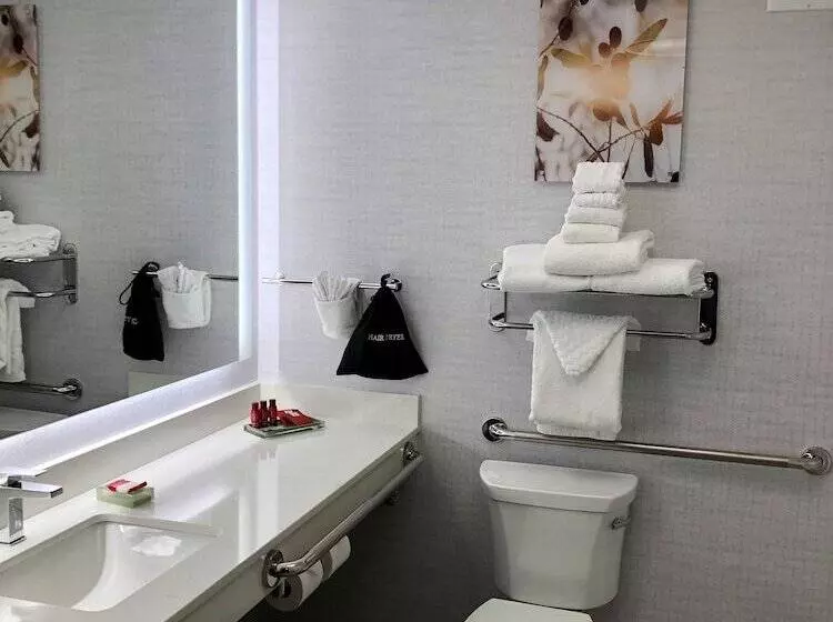 Standard-huone 2 Parivuodetta, Best Western Premier Pasco Inn And Suites