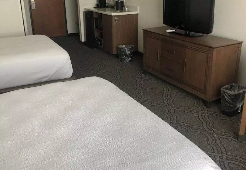 Standard-huone 2 Parivuodetta, Best Western Premier Pasco Inn And Suites