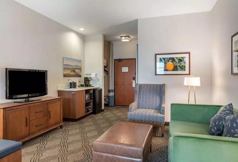 Sviitti Liikuntarajoitteisille, Best Western Premier Pasco Inn And Suites