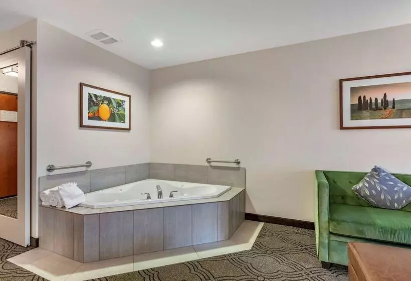 Sviitti Liikuntarajoitteisille, Best Western Premier Pasco Inn And Suites