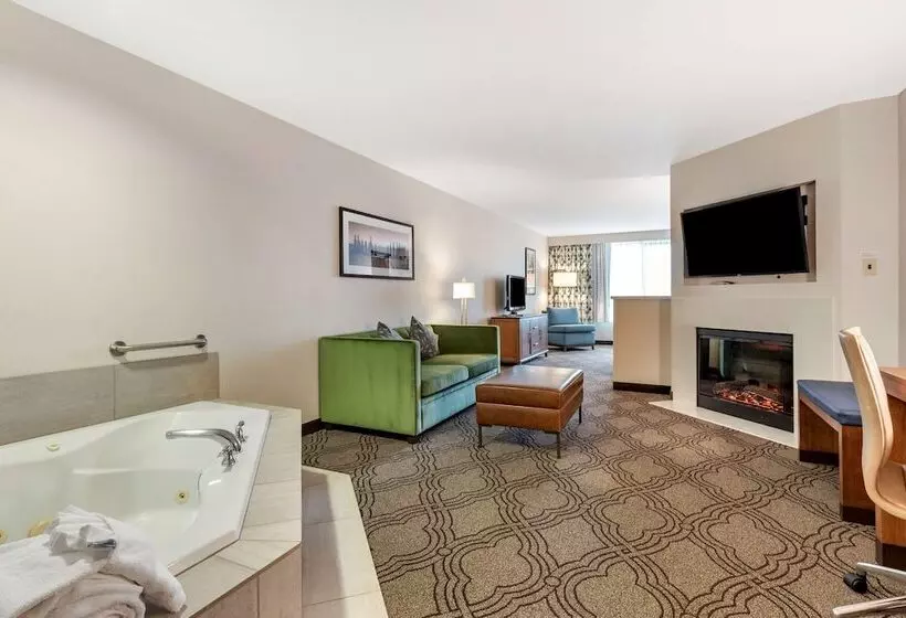 Sviitti Liikuntarajoitteisille, Best Western Premier Pasco Inn And Suites