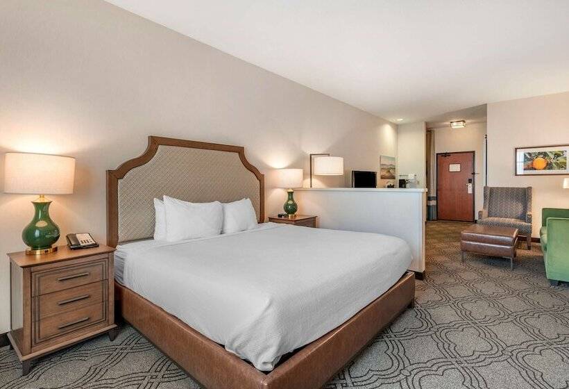 جناح لذوى الاحتياجات الخاصة, Best Western Premier Pasco Inn And Suites