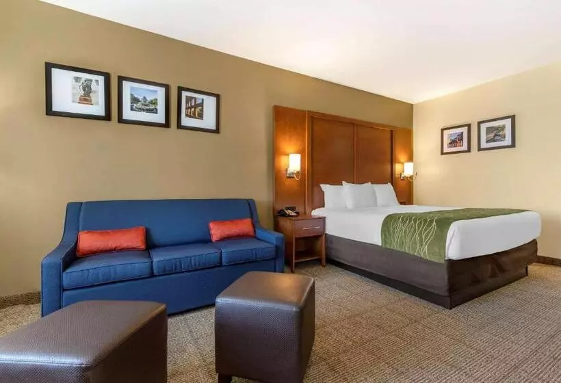 キングサイズベッドのスタンダードルーム, Comfort Inn & Suites