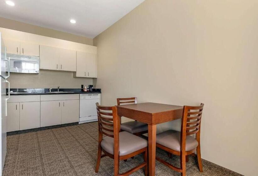 带大床的标准间, Comfort Inn & Suites