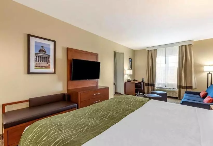 キングサイズベッドのスタンダードルーム, Comfort Inn & Suites
