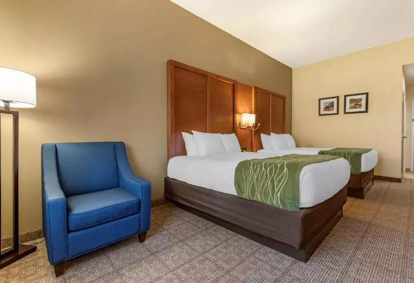 スタンダードルーム, Comfort Inn & Suites