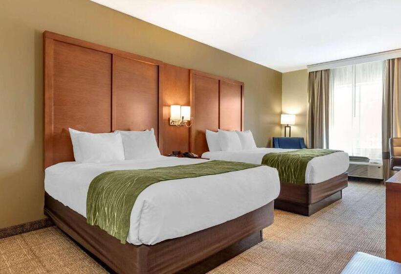 标准间, Comfort Inn & Suites