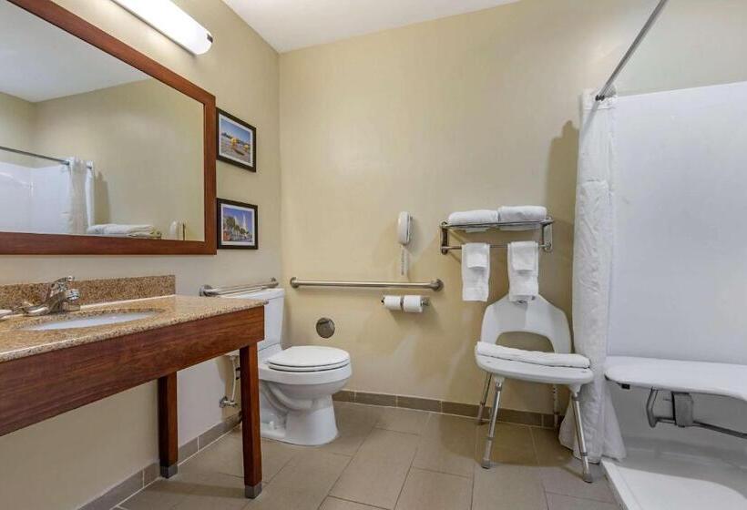 适合残疾人使用的标准间, Comfort Inn & Suites