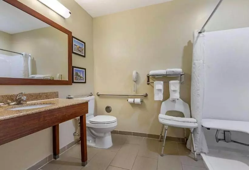 身障者適用スタンダードルーム, Comfort Inn & Suites