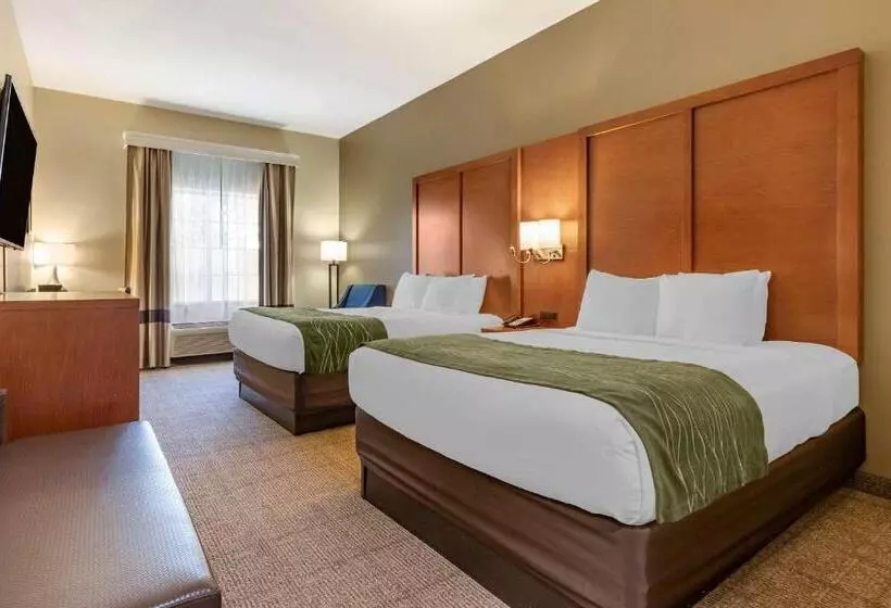 身障者適用スタンダードルーム, Comfort Inn & Suites