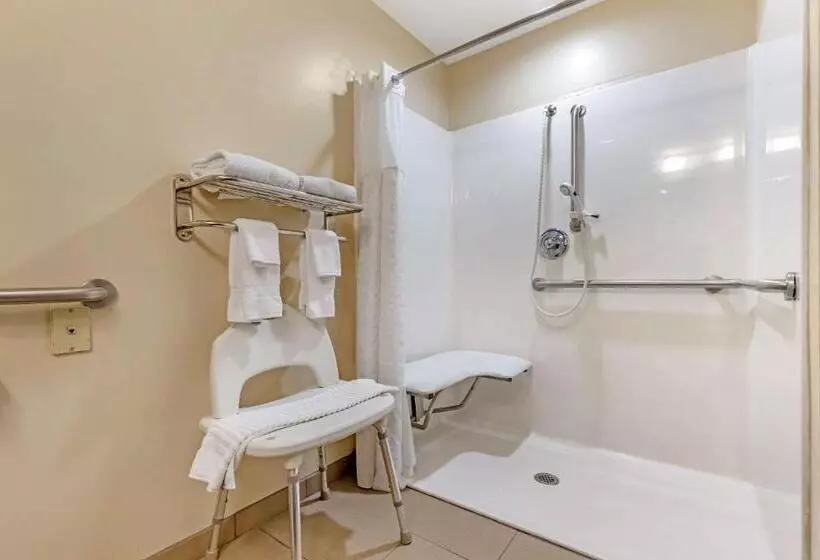 身障者適用キングサイズベッドルーム, Comfort Inn & Suites