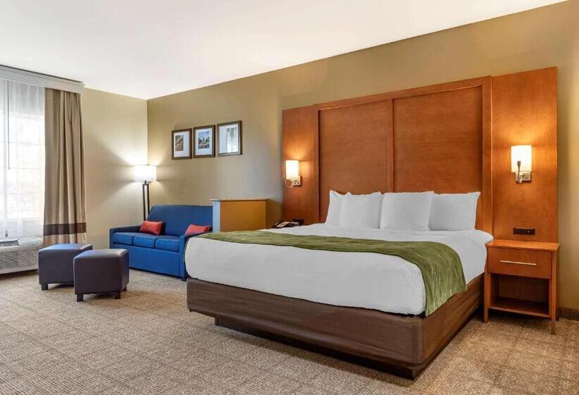 适合残疾人士使用的带超级大床的标准间, Comfort Inn & Suites