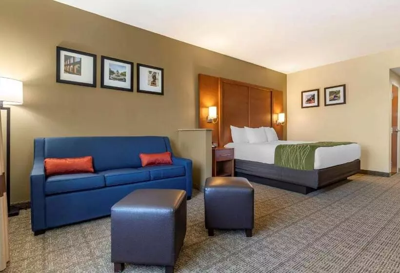身障者適用スイートルーム, Comfort Inn & Suites