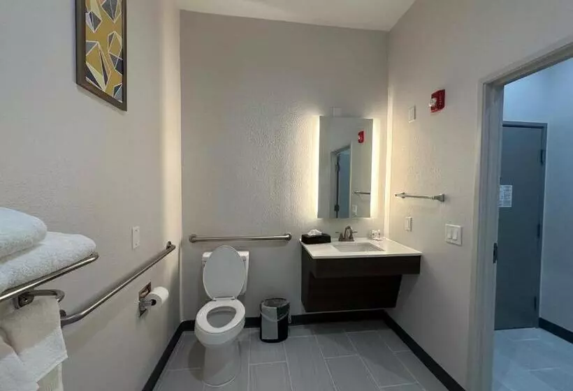 身障者適用キングサイズベッドルーム, Comfort Inn & Suites