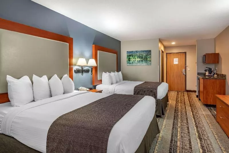 キングサイズベッドのスタンダードルーム, Comfort Inn & Suites