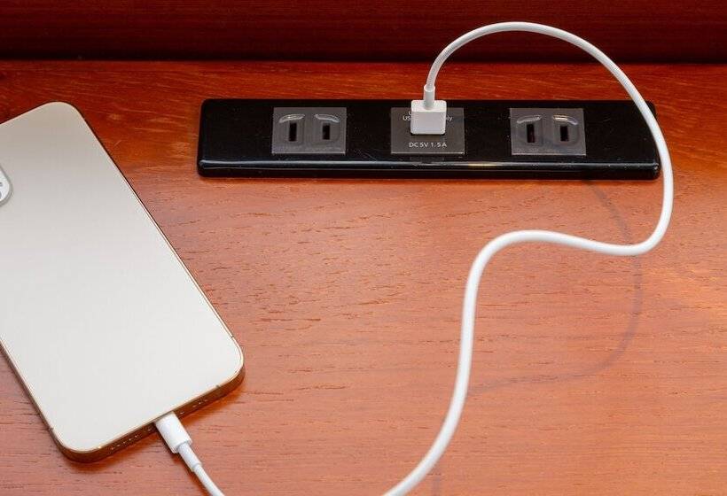 高级小型套房, Premier Hotel Mojiko